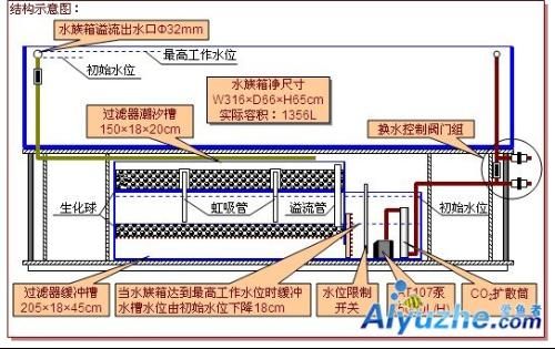 魚(yú)缸過(guò)濾系統(tǒng)的歷史演變：底濾魚(yú)缸的歷史演變 魚(yú)缸百科 第4張