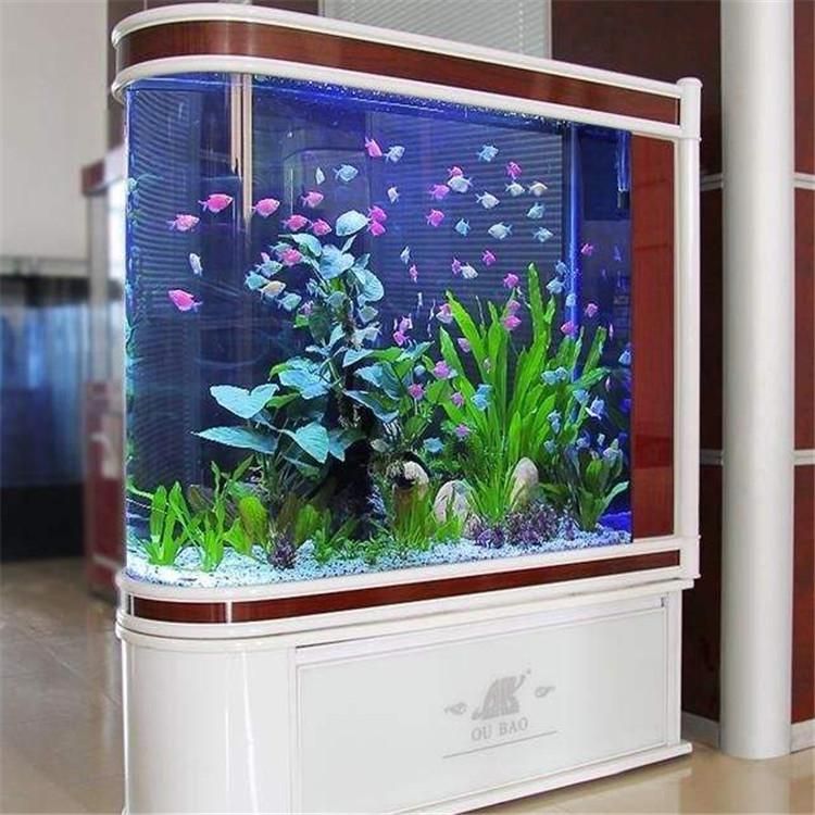 海之峰水族用品有限公司怎么樣：濟(jì)南海之峰水族用品有限公司水族用品有限公司水族用品有限公司 魚缸百科 第3張