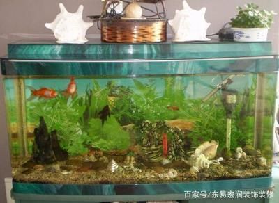 風(fēng)水魚(yú)缸的擺放技巧：家居風(fēng)水魚(yú)缸擺放技巧 魚(yú)缸百科 第2張