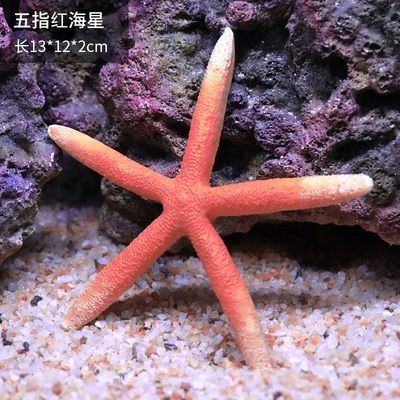 紅海魚缸造景需要考慮到紅海特有的水質(zhì)和生物環(huán)境：紅海魚缸如何造景 魚缸百科 第1張