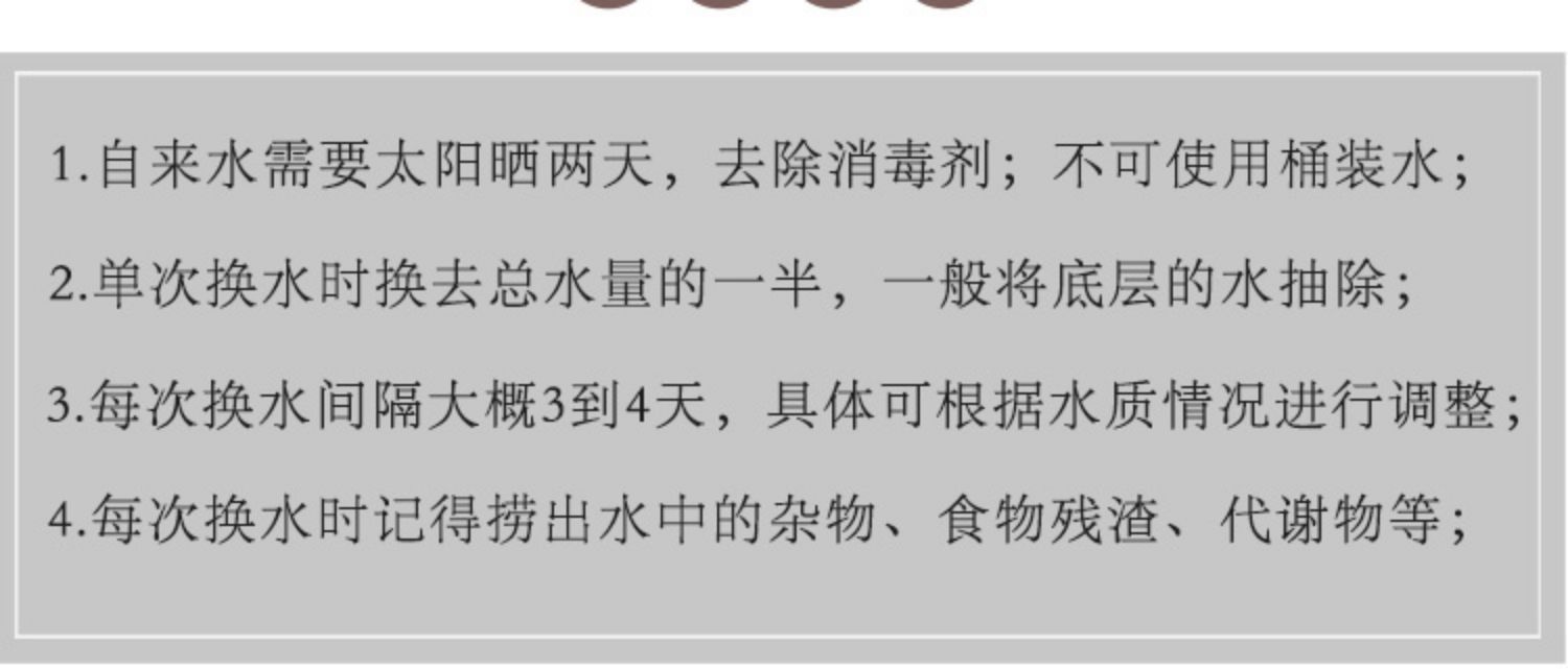 魚缸清洗和消毒技巧：新買的小魚缸如何清洗和消毒 魚缸百科 第3張