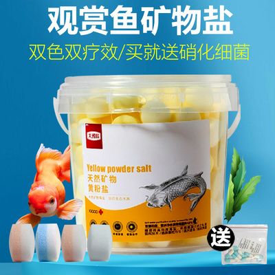 鹽水可以用于魚缸的消毒嗎？：海鹽可以用于魚缸的消毒以下是詳細(xì)的解釋以下是詳細(xì)的解釋 魚缸百科 第2張