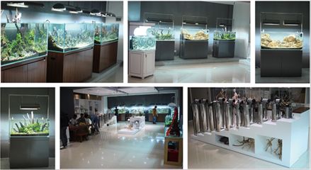 廣州魚缸水族箱批發(fā)店：廣州水族文化探秘