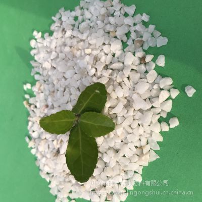 鞏義魚缸養(yǎng)護(hù)秘籍養(yǎng)魚不僅是觀賞，更是對魚缸養(yǎng)護(hù)的一門學(xué)問：鞏義市哪里賣魚缸