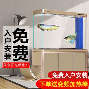 底濾魚缸需要換水，且換水的頻率和方法應(yīng)根據(jù)具體情況調(diào)整：養(yǎng)魚老道的養(yǎng)魚秘籍 魚缸百科 第4張