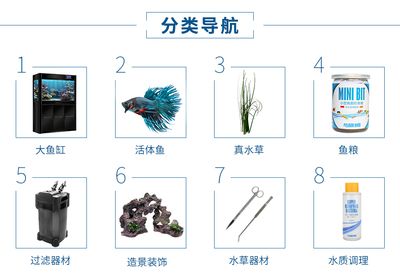 觀賞魚缸過濾器材選擇合適的過濾器材是非常重要的：水族箱養(yǎng)護全攻略