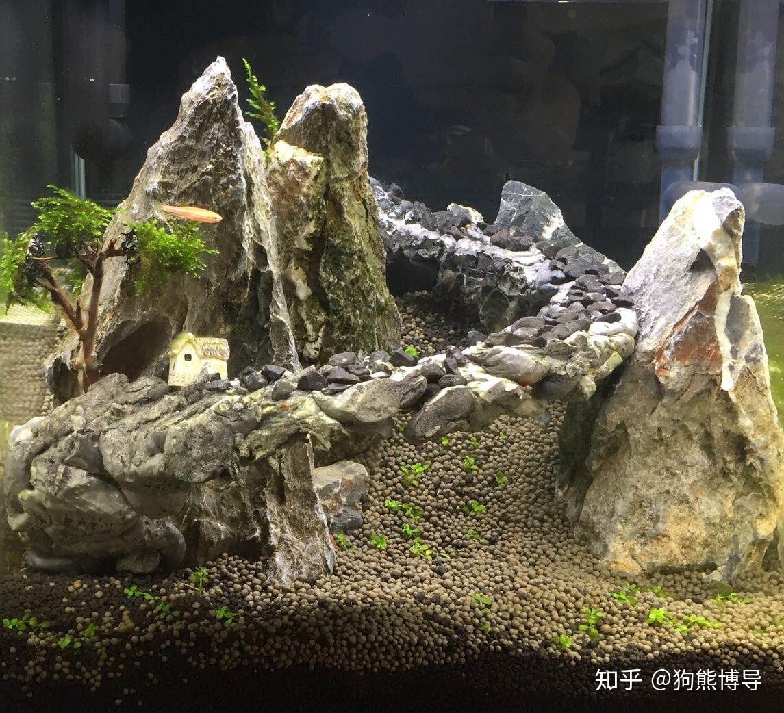 魚缸過濾石頭可以直接放入魚缸里面的問題是否易于清洗：魚缸水質管理的重要性 魚缸百科 第2張