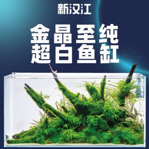 漢江魚缸和新漢江魚缸的差異以及用戶對(duì)于魚缸的評(píng)價(jià)：漢江魚缸與新漢江魚缸的區(qū)別 魚缸百科 第3張