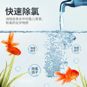 水族箱生態(tài)系統(tǒng)的平衡維護(hù)水族箱的平衡維護(hù)水質(zhì)穩(wěn)定：如何正確養(yǎng)護(hù)水族箱 魚缸百科 第1張