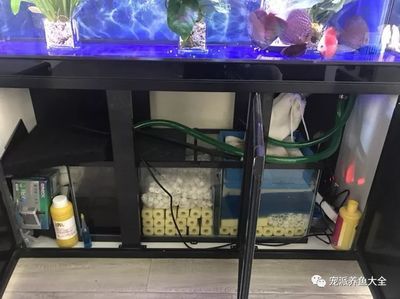 魚缸水質(zhì)管理的重要性：魚缸底濾濾材擺放圖兩個(gè)槽的具體步驟和注意事項(xiàng)和注意事項(xiàng)