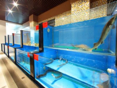 廣州德洋水族科技有限公司提供大型魚缸定做服務(wù)的基本信息：大型魚缸定做公司 魚缸百科 第4張