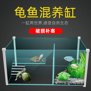 魚缸折射原理及解析：方形魚缸的拐角處看到兩條魚怎么辦？ 魚缸百科 第3張