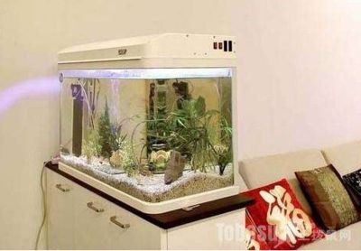 家居風水魚缸布局案例分析魚缸布局案例分析魚缸布局：家居風水魚缸布局 魚缸百科 第3張