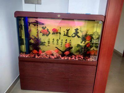 花鳥市場(chǎng)的魚缸干凈漂亮，主要有以下幾個(gè)原因和技巧：花鳥市場(chǎng)水族館的設(shè)計(jì)與布置 魚缸百科 第2張