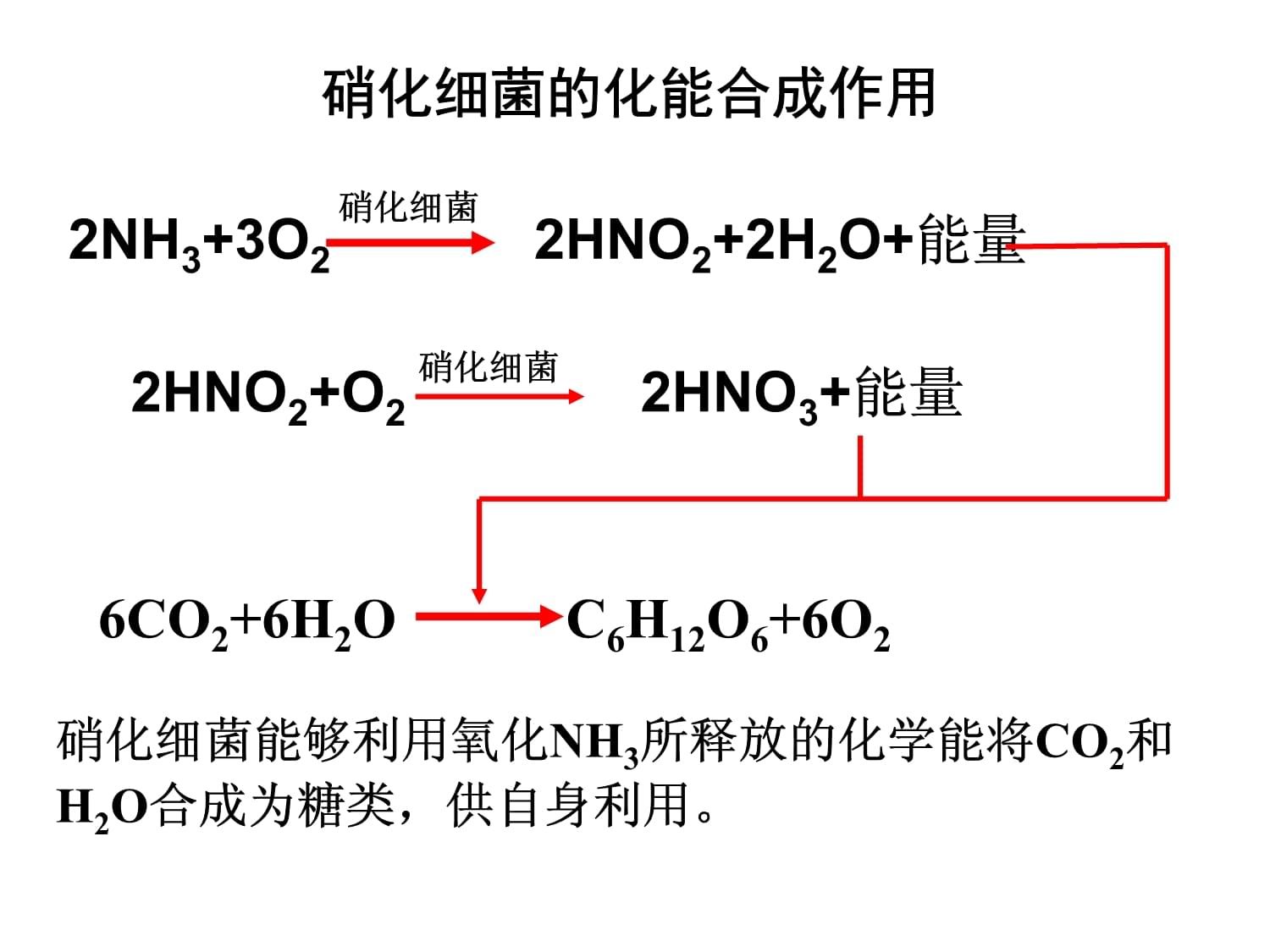 光合硝化細菌的培養(yǎng)技巧：光合硝化細菌可以直接放在魚缸里但需要注意以下幾點 魚缸百科 第3張