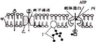 光合硝化細菌的培養(yǎng)技巧：光合硝化細菌可以直接放在魚缸里但需要注意以下幾點 魚缸百科 第4張