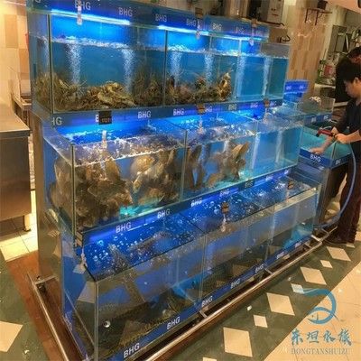 海鮮魚缸直銷價格：海鮮魚缸制作廠家直銷價格從以下幾個方面來了解信息 魚缸百科 第1張