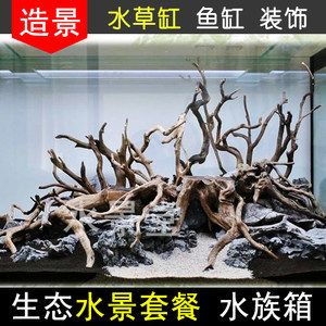 魚缸布景魚缸布景的維護(hù)技巧：水草造景的藝術(shù)與技巧：水草造景的藝術(shù)與技巧 魚缸百科 第4張