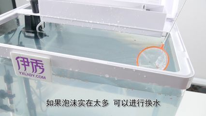 夢(mèng)境解析：換水魚(yú)缸碎了并沒(méi)有特定的征兆：換水魚(yú)缸碎了是什么意思？ 魚(yú)缸百科 第2張