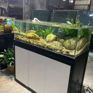 生態(tài)魚缸的維護(hù)秘籍：海安市多家店鋪銷售魚缸