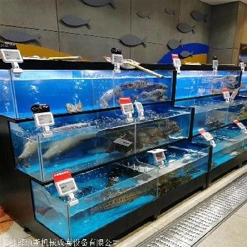 選擇海鮮專用魚缸需要了解哪些材質(zhì)：海鮮專用魚缸品牌排行榜：海鮮專用魚缸品牌排名 魚缸百科 第3張