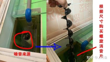 底濾魚缸不下水是怎么回事？：底濾魚缸不下水可能是多種原因造成的 魚缸百科 第1張