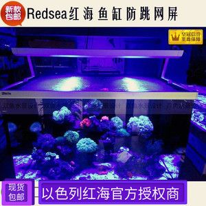 紅海魚缸和淡水魚缸的區(qū)別：淡水魚缸與紅海魚缸的區(qū)別 魚缸百科 第3張