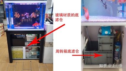 底濾魚缸換水的方法和注意事項：底濾魚缸換水方法和注意事項 魚缸百科 第1張