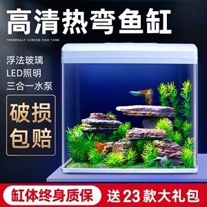 熱彎玻璃魚缸的安全使用指南：浮法熱彎玻璃魚缸使用注意事項 魚缸百科 第1張