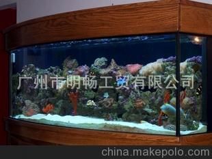 廣州魚缸定制公司哪家好：廣州定制魚缸設(shè)計(jì)公司 魚缸百科 第3張