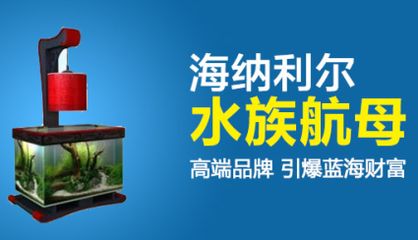 海納利爾魚缸官網(wǎng)售后怎么辦：海納利爾水族科技有限公司提供專業(yè)售后服務團隊 魚缸百科 第4張