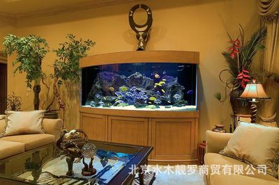 海水魚缸與淡水魚缸的區(qū)別：廣州佳穎水族園藝景觀有限公司魚缸設計的藝術魚缸設計