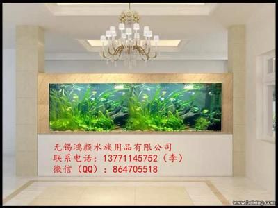 海水魚缸與淡水魚缸的區(qū)別：廣州佳穎水族園藝景觀有限公司魚缸設(shè)計的藝術(shù)魚缸設(shè)計