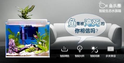 亞克力魚缸材質(zhì)選擇亞克力魚缸材質(zhì)各有優(yōu)缺點哪個更好：亞克力魚缸與浮法玻璃魚缸的區(qū)別 魚缸百科 第3張