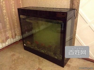 海之境魚缸，魚缸設計的藝術：海之境魚缸是一種新型的魚缸，具有壁畫式和生態(tài)價值