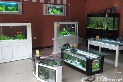 店鋪魚缸的擺放風(fēng)水原則：店鋪魚缸擺放的風(fēng)水原則