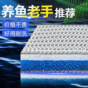 魚缸水質(zhì)管理全攻略：底濾魚缸的過濾材料更換頻率通常取決于魚缸的水質(zhì)狀況和使用情況