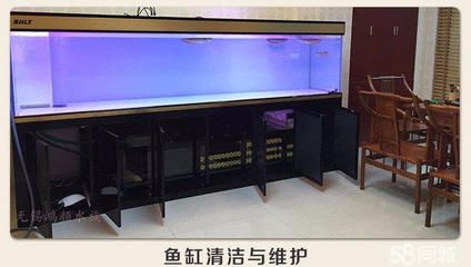 鋼木魚缸的清洗方法：“鋼木魚缸”的清洗方法 魚缸百科 第1張