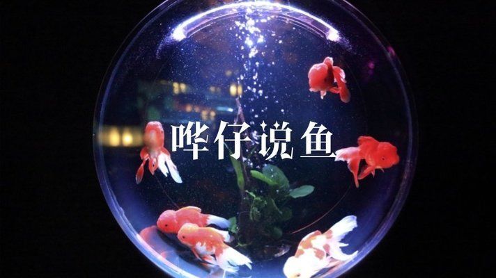 魚(yú)缸換水后水發(fā)白霧蒙蒙魚(yú)缸水質(zhì)管理全攻略了解魚(yú)缸水質(zhì)管理：魚(yú)缸換水后水發(fā)白霧蒙蒙怎么辦