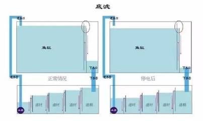 底濾魚缸溢流管噪音大的原因及解決方案：底濾魚缸溢流管噪音大怎么辦？ 魚缸百科 第1張