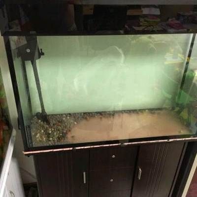 店鋪放魚缸的風(fēng)水布局：店鋪放魚缸的最佳位置 魚缸百科 第4張