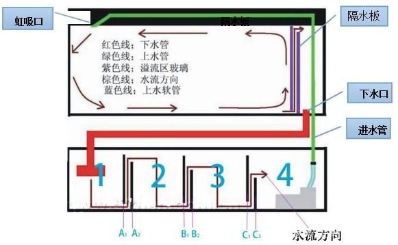 底濾魚缸防止溢流的方法包括以下幾個方面以下幾個方面：底濾魚缸如何防止溢流 魚缸百科 第3張