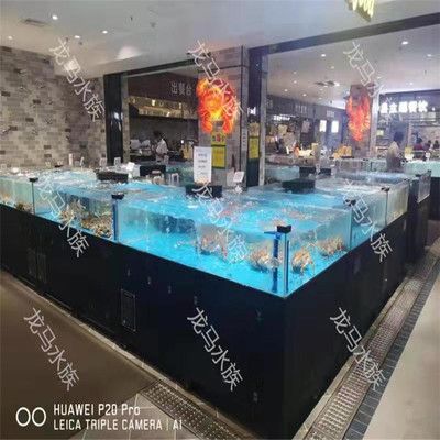 飯店海鮮魚(yú)缸選擇：尋找適合飯店的海鮮魚(yú)缸您可以考慮以下幾個(gè)選項(xiàng) 魚(yú)缸百科 第4張