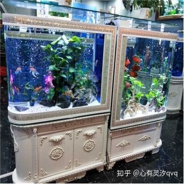 高級(jí)水族箱魚缸安裝視頻教程vision完勝品牌魚缸：高級(jí)水族箱魚缸安裝教程 魚缸百科 第1張