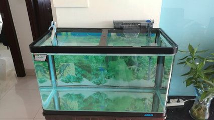 高級(jí)水族箱魚缸安裝視頻教程vision完勝品牌魚缸：高級(jí)水族箱魚缸安裝教程 魚缸百科 第3張