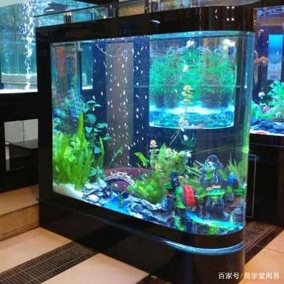 公司魚缸的最佳擺放位置是什么？：公司魚缸最佳擺放位置 魚缸百科 第3張