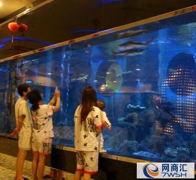 選購海鮮市場魚缸需要注意哪些問題？：海鮮市場魚缸的優(yōu)勢 魚缸百科 第4張