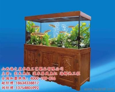 水族箱的養(yǎng)護(hù)秘籍：山西海之星水族工藝制品 魚(yú)缸百科 第4張