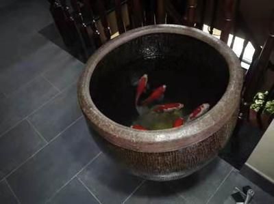 如何選擇古法養(yǎng)魚的魚缸：古法養(yǎng)魚與生態(tài)缸的區(qū)別 魚缸百科 第1張