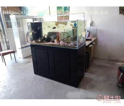 魚缸品牌背后的故事每個魚缸品牌都有其獨特的發(fā)展歷程和設(shè)計理念：如何挑選適合自家的魚缸 魚缸百科 第4張